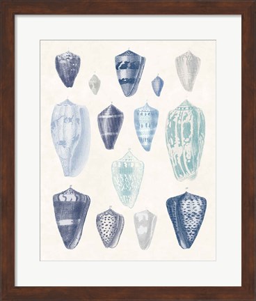 Framed Blue Shell Assortment I Print