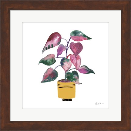 Framed Potted Jewels II Print