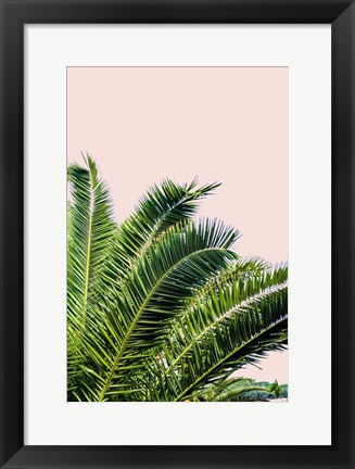 Framed Tropical Leaves On Blush I Print