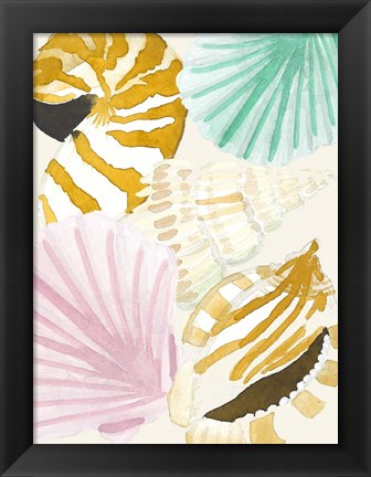 Framed Seashell Collage Print