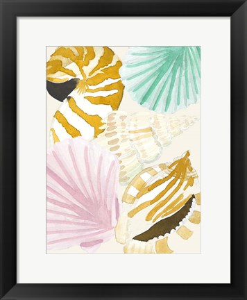 Framed Seashell Collage Print