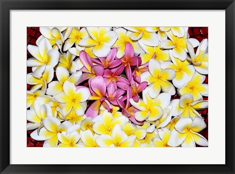 Framed Floating Petals Print