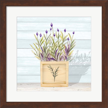 Framed Lavender and Wood Square II Print