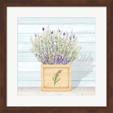 Framed Lavender and Wood Square III Print