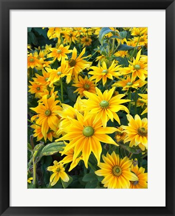 Framed Bright Spring Print