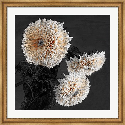 Framed Sunflowers II Print