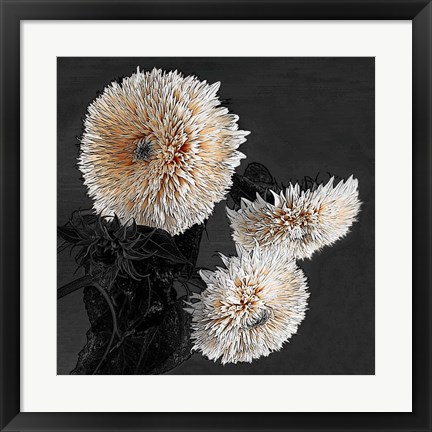 Framed Sunflowers II Print