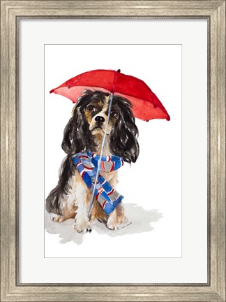 Framed King Charles Spaniel In The Rain Print