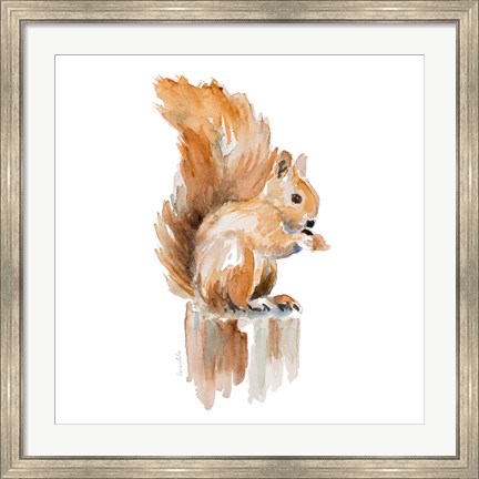 Framed Watercolor Squirrel Print