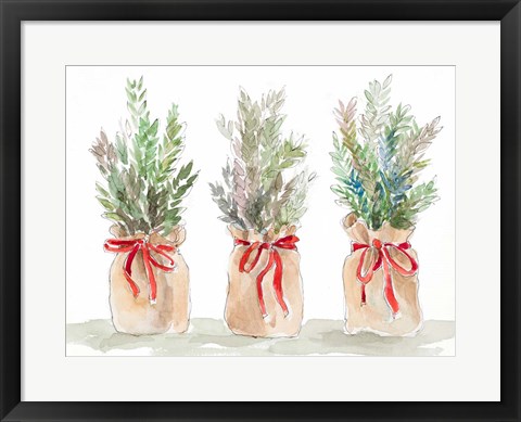 Framed Spruce Wrapped in Burlap Print