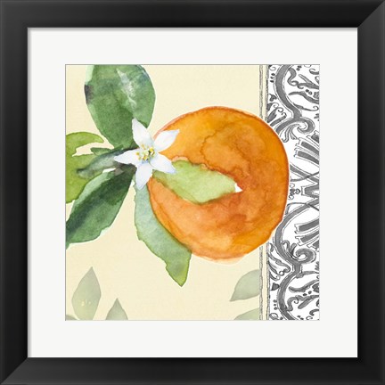 Framed Orange Blossoms I Print