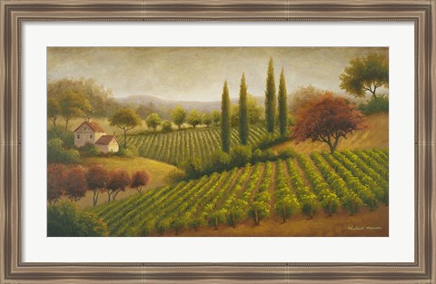 Framed Vineyard In The Sun I Print