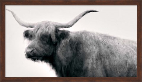 Framed Vintage Bull Print