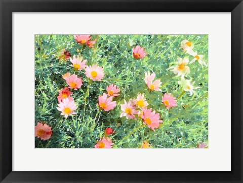 Framed Daisy Field I Print