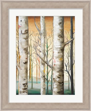 Framed Birch Forest I Print