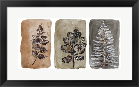 Framed Watercolor Sepia Leaves II Print