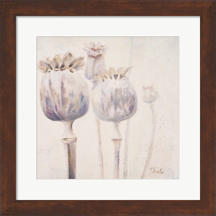 Framed Poppy Seeds II Print