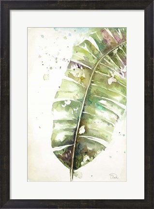 Framed Watercolor Plantain Leaves II Print