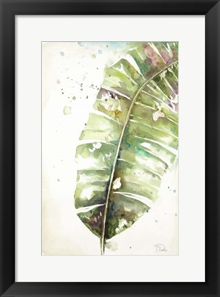 Framed Watercolor Plantain Leaves II Print