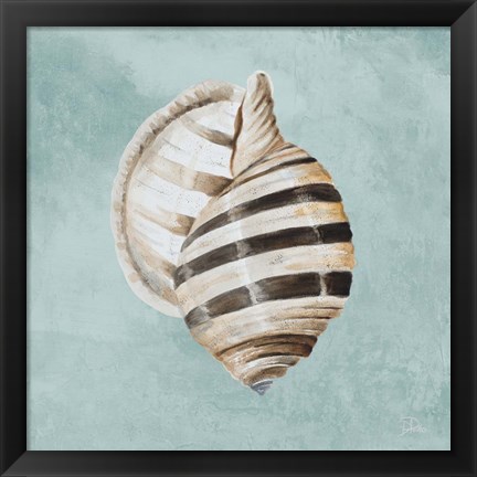 Framed Modern Shell on Teal I Print