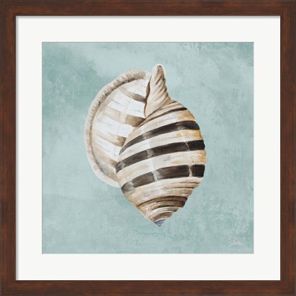 Framed Modern Shell on Teal I Print