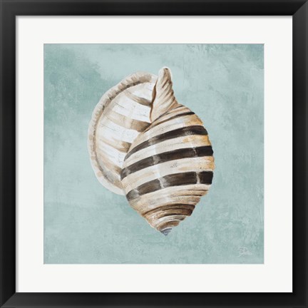 Framed Modern Shell on Teal I Print