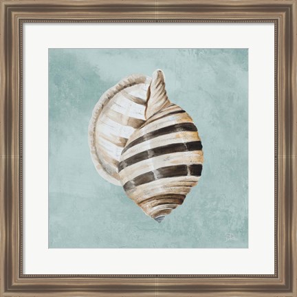 Framed Modern Shell on Teal I Print