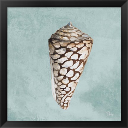 Framed Modern Shell on Teal II Print