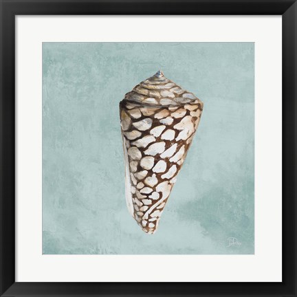 Framed Modern Shell on Teal II Print