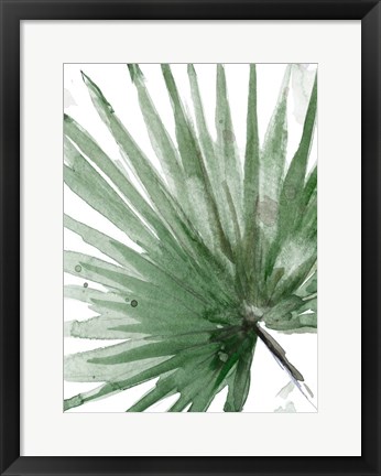 Framed Palma Verde Close Up Print