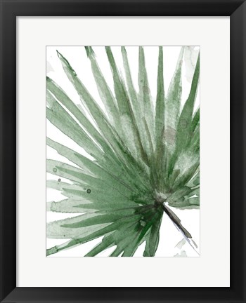 Framed Palma Verde Close Up Print