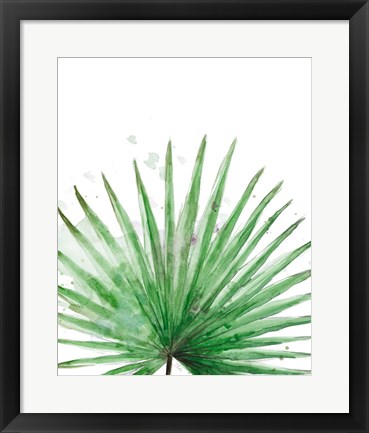 Framed Palm Frond II Print