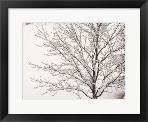 Framed Winter Serenity Print