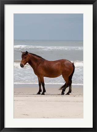 Framed Beach Bum Print