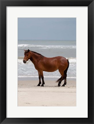 Framed Beach Bum Print