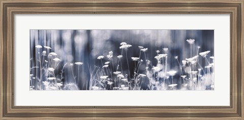 Framed Summer Dreams Print