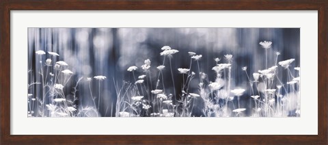 Framed Summer Dreams Print