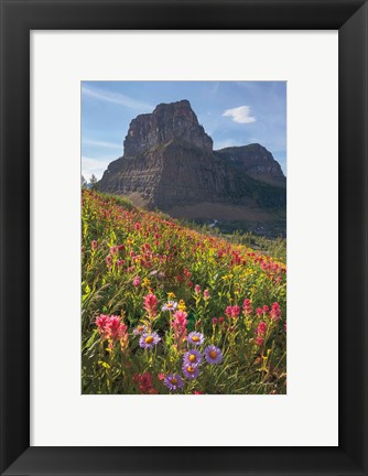 Framed Boulder Pass Wildflowers Print