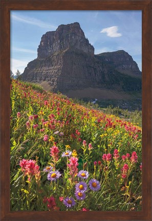 Framed Boulder Pass Wildflowers Print