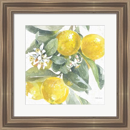 Framed Citrus Charm Lemons I Print