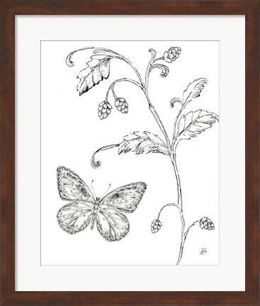 Framed Outdoor Beauties Butterfly II Print