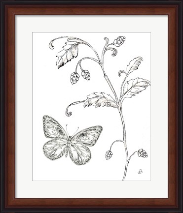 Framed Outdoor Beauties Butterfly II Print