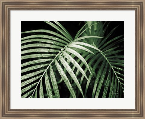 Framed Palm Fronds Green Print