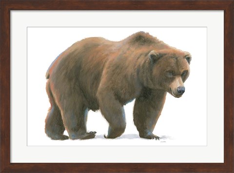 Framed Northern Wild  I Print