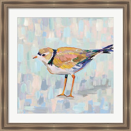 Framed Coastal Plover IV v2 Neutral Print