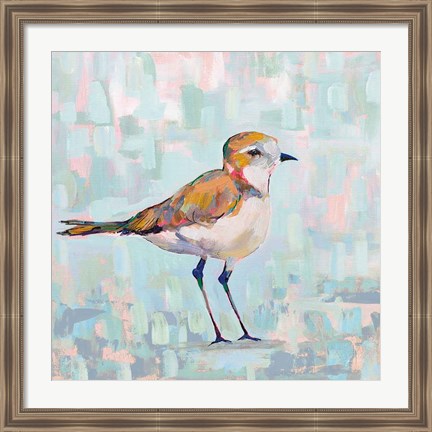 Framed Coastal Plover III Neutral Print