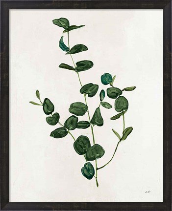 Framed Botanical Study II Greenery Print