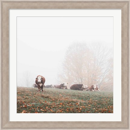 Framed Misty Pasture Print