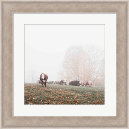 Framed Misty Pasture Print