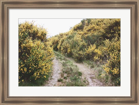 Framed Scottish Highlands II Print